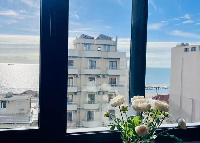 Wonderland Dıraç
